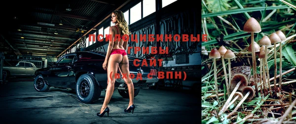 спайс Михайловск