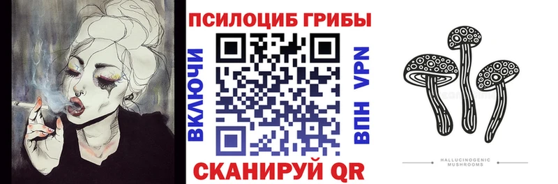 Галлюциногенные грибы Psilocybine cubensis  Плёс 