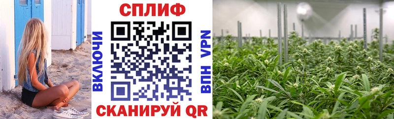 дарнет шоп Плёс Конопля OG Kush